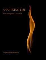 Awakening Fire P.O.D. cover